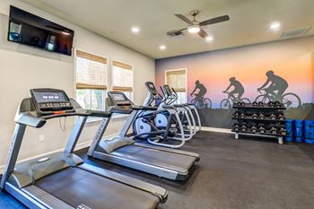 24-7 Live-streaming fitness